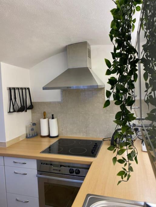 Spacious Flat In The Most Desirable Area Of London Exterior photo